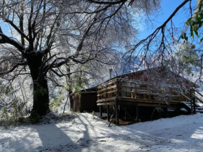 Cabaña con Chimenea en el bosque-Termas de Chillán